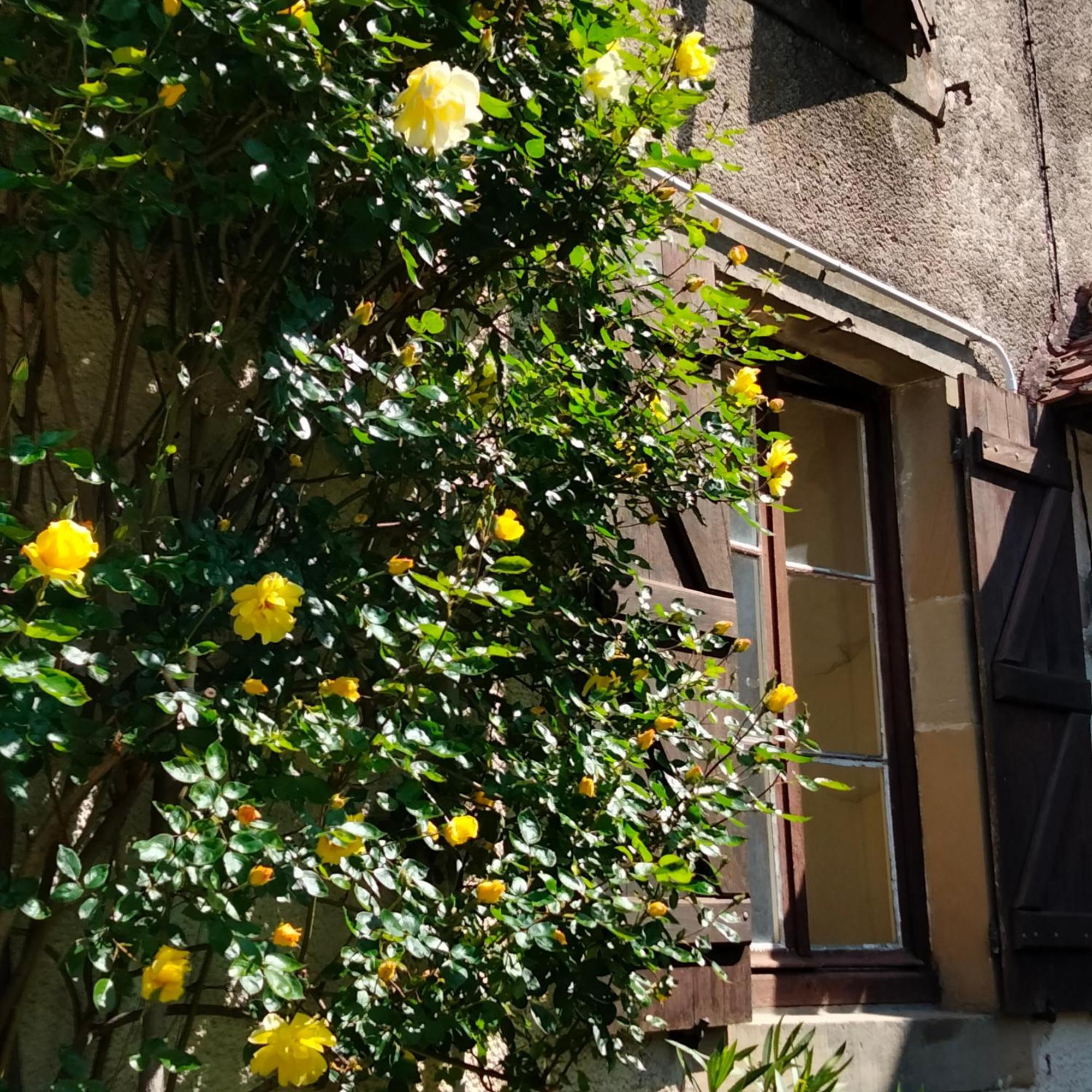 La Maison du Notaire Melay  Extérieur photo